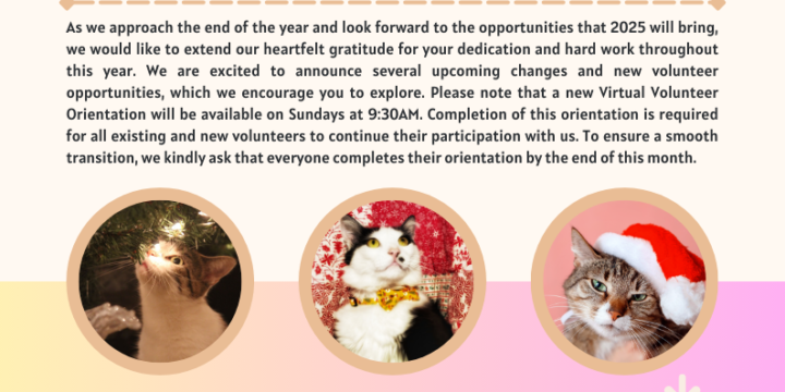 Volunteer Newsletter – December 2024