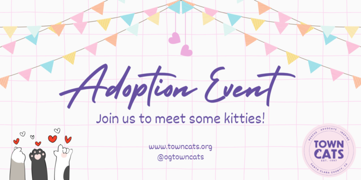 Ganado Feed & Pet Supplies – San Jose – Adoption Event (12-2pm)