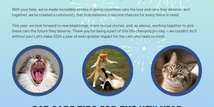 Volunteer Newsletter – January 2025