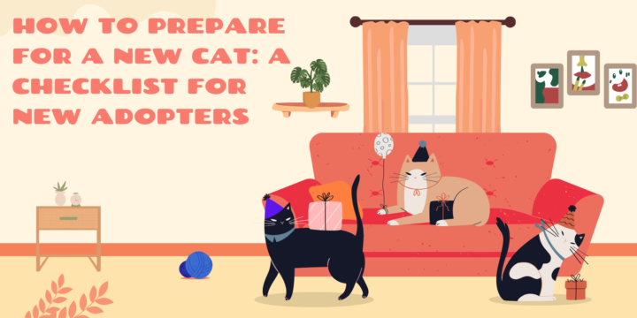 How to Prepare for a New Cat: A Checklist for New Adopters