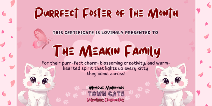 Foster of the Month – Feb 2025