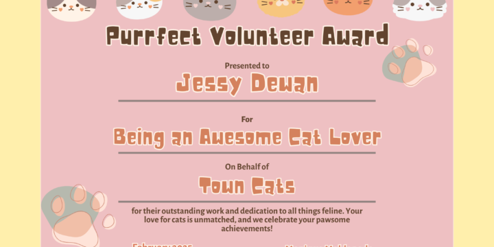 Volunteer of the Month – February 2025